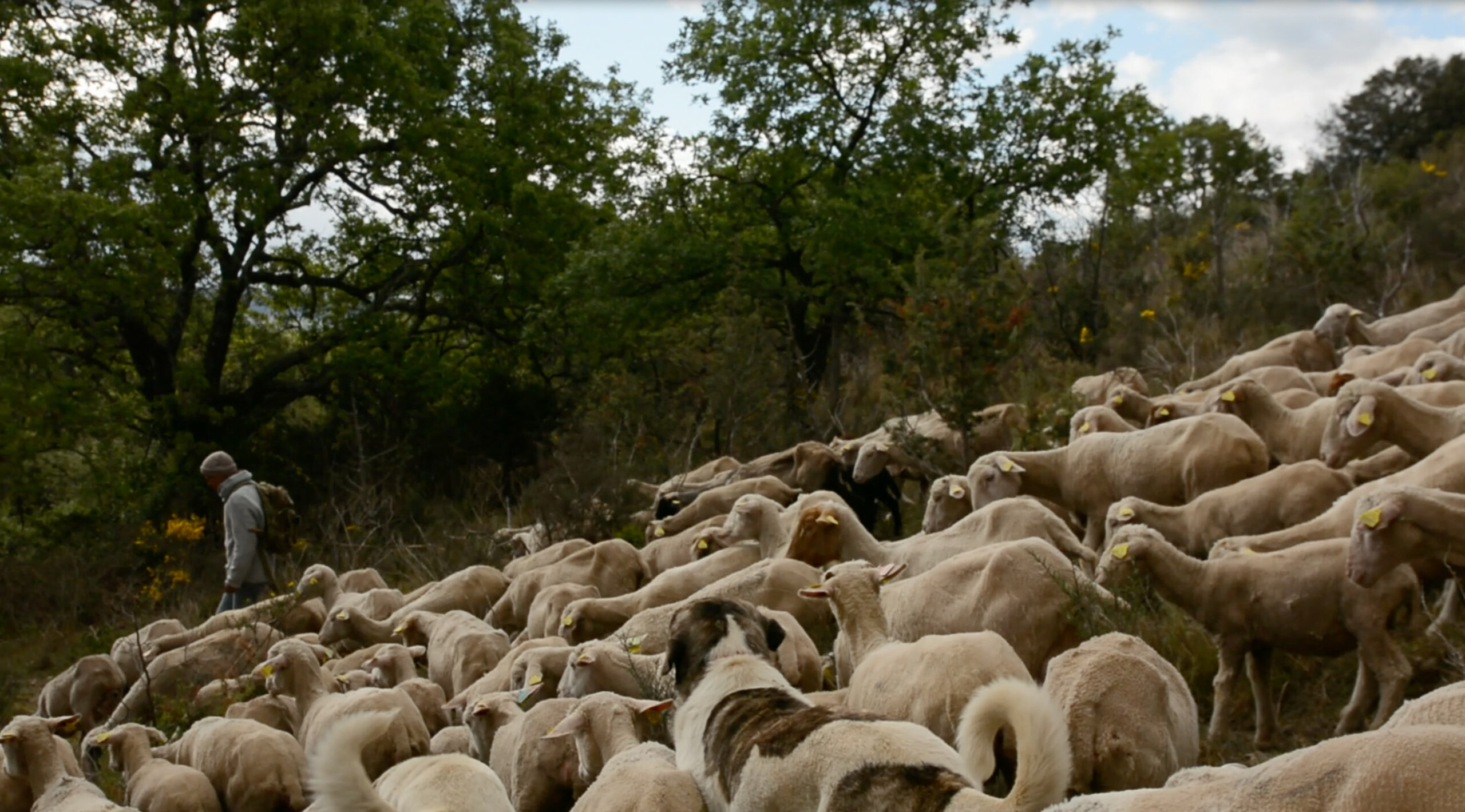 Marche ou Crève